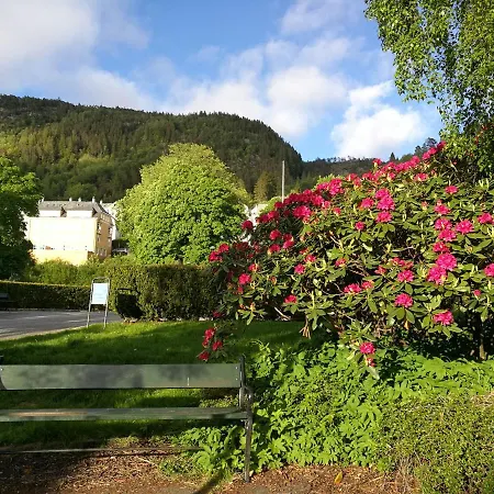 Modern And - With A Garden Appartement *