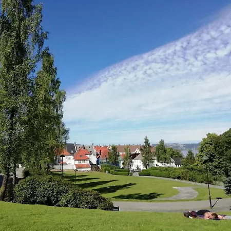 Modern & Central Apartment With Private Garden * Bergen